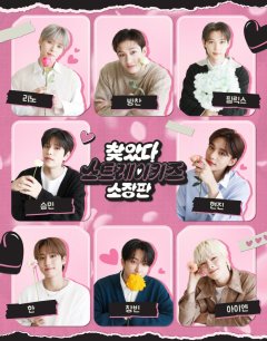  В поисках Stray Kids 