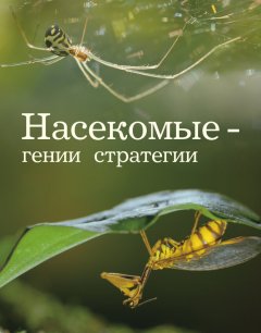  Насекомые — гении стратегии 